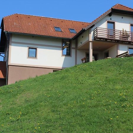 Vdovic Guest House Svecina 외부 사진