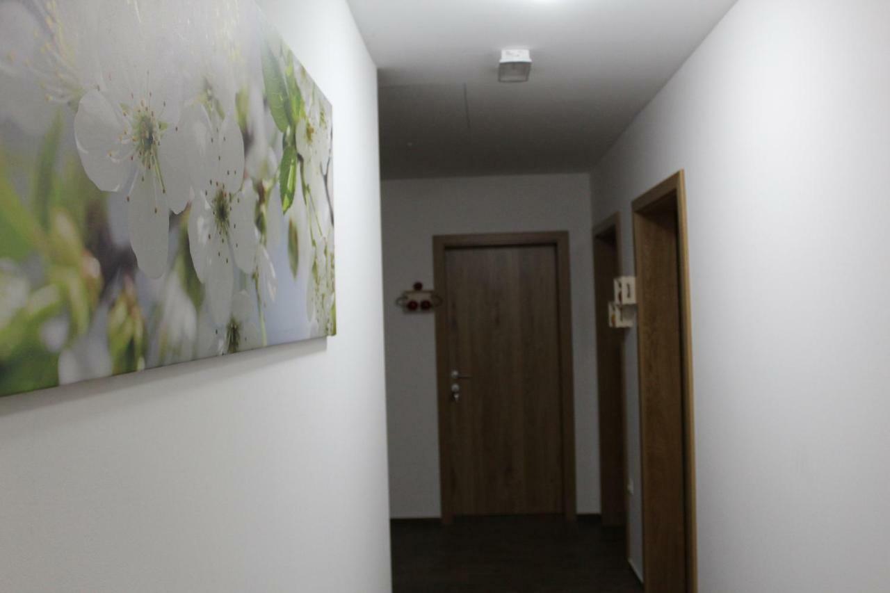 Vdovic Guest House Svecina 외부 사진